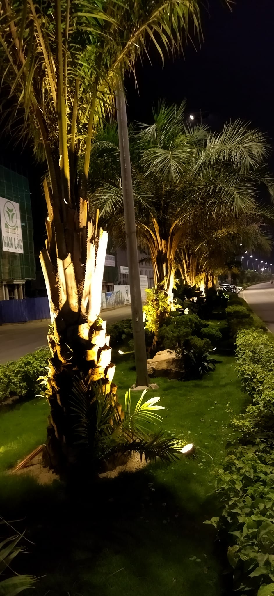 Đèn chiếu cây sportlight về đêm