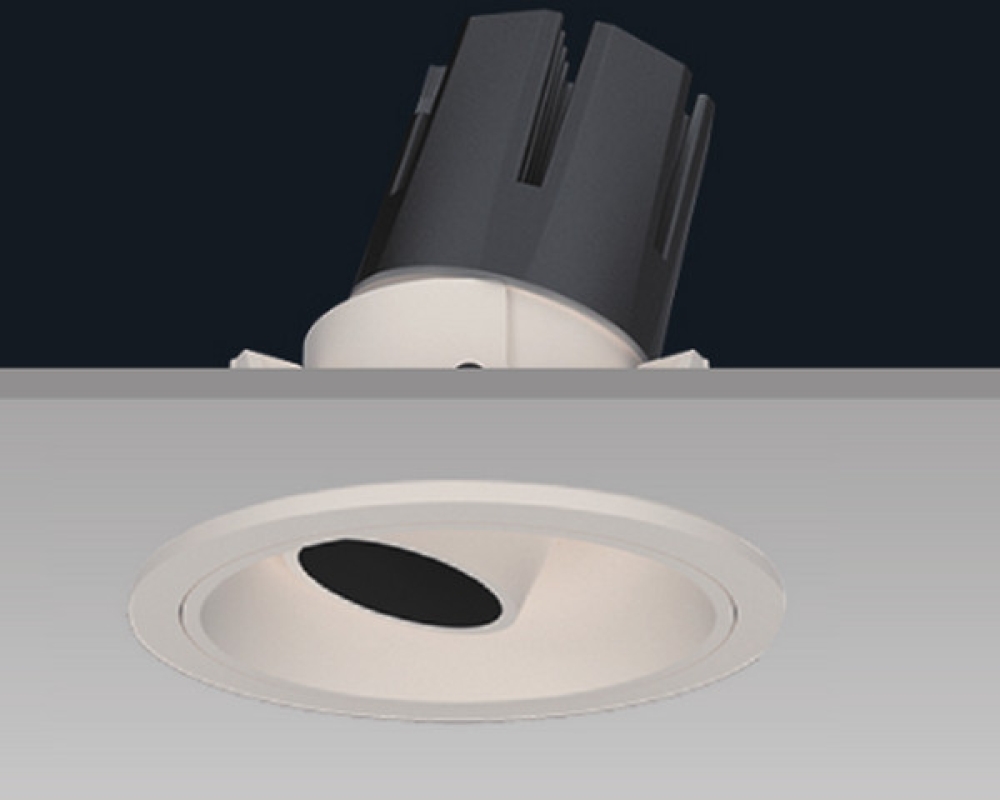 Recessed Tiltable Downlight