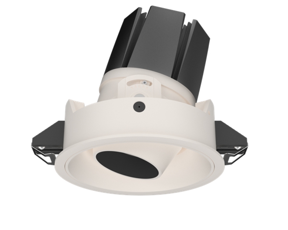 Recessed Tiltable Downlight
