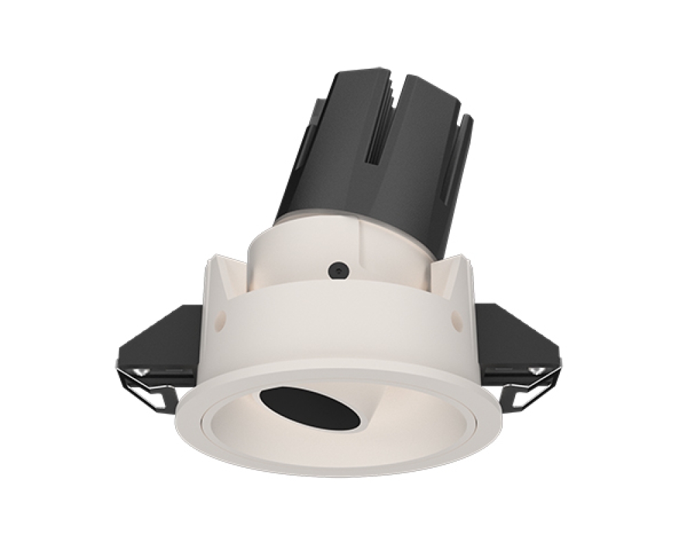 Recessed Tiltable Downlight