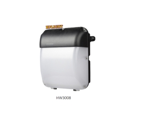 LED Wall Light, HW3008-10/20/30/40W