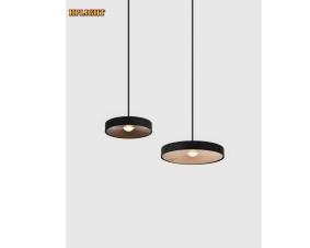 PENDANT LIGHTS - ĐÈN THẢ HIỆN ĐẠI HPELI35