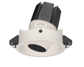 Recessed Tiltable Downlight