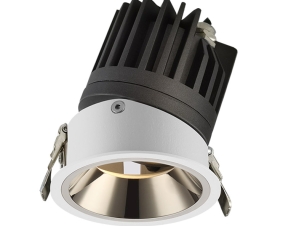 Series IP65 Down Light